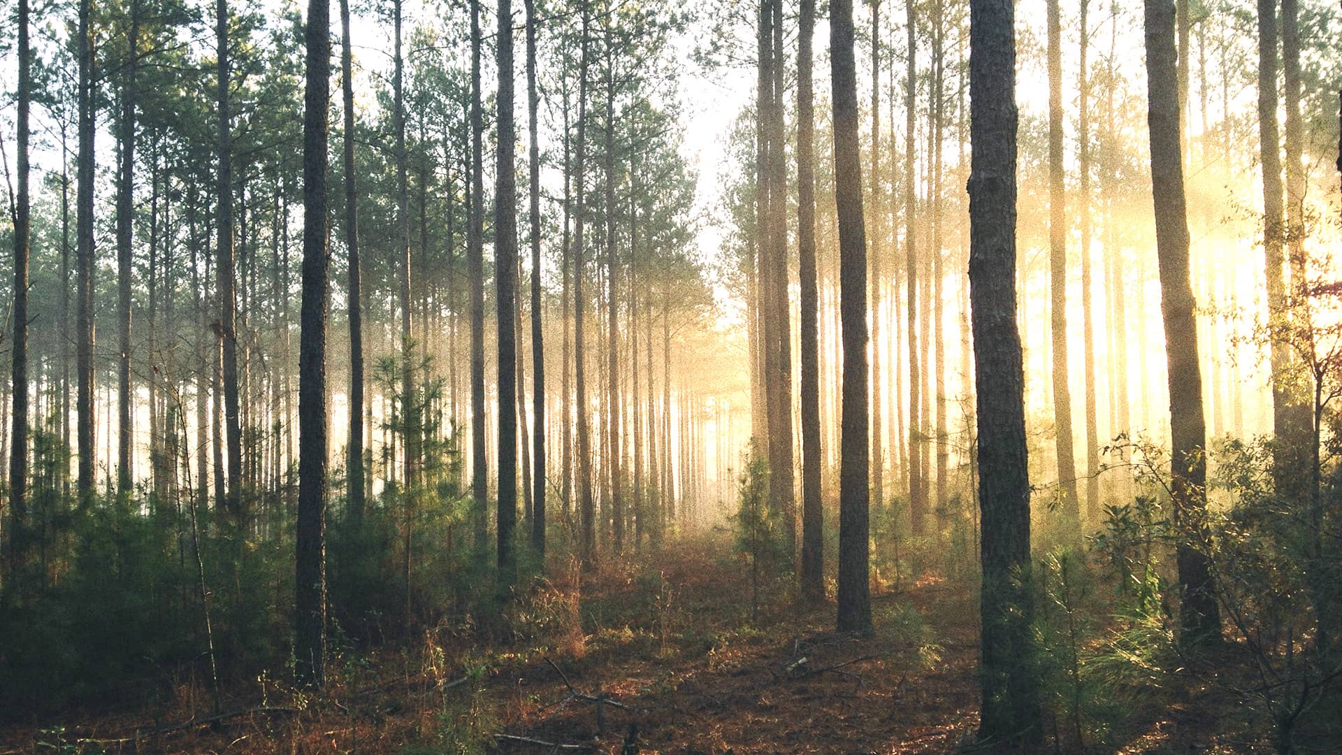 Hybrid RAG Isn’t the Endgame: Why We’re Exploring High-End Retrieval