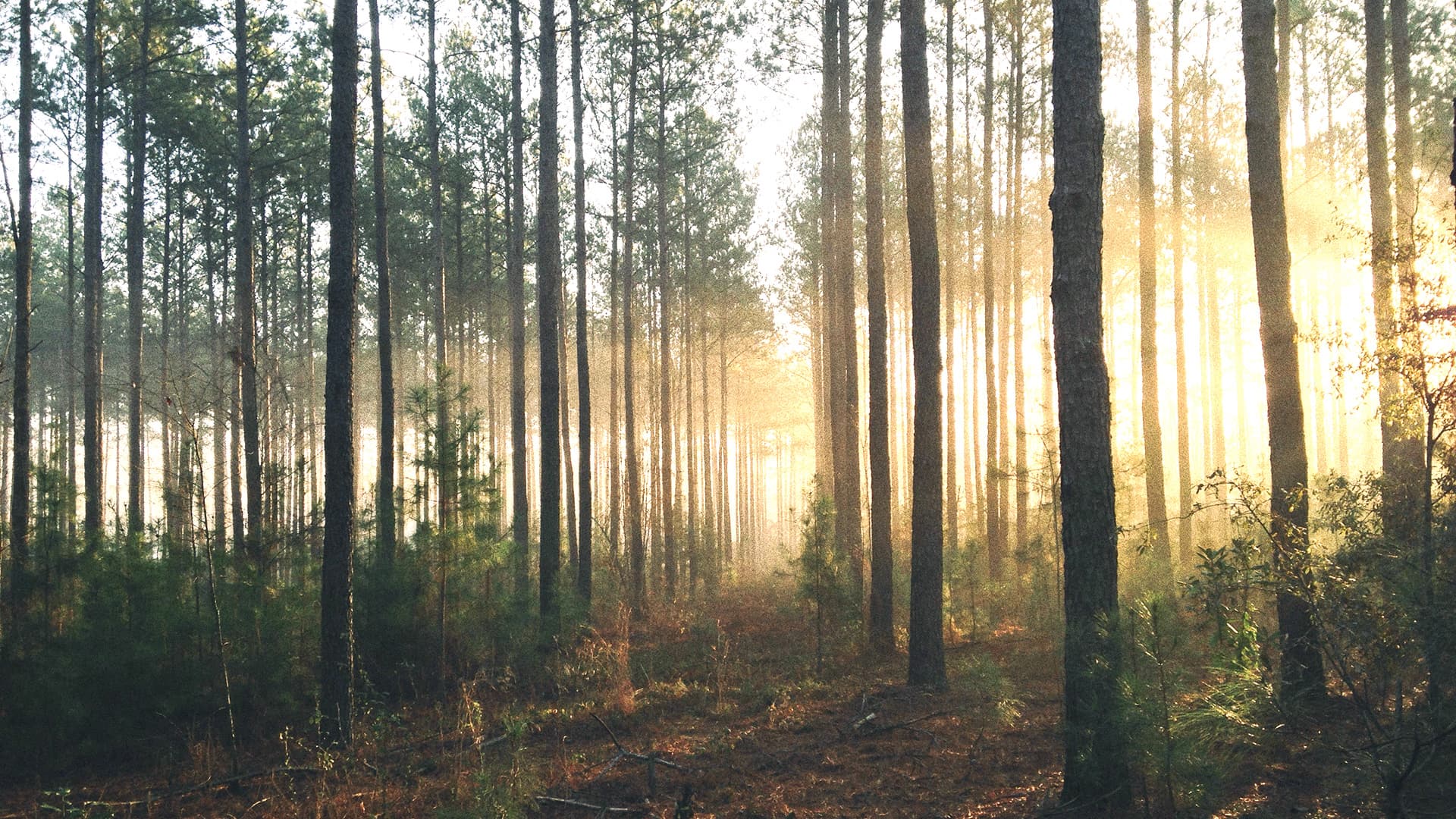 Hybrid RAG Isn’t the Endgame: Why We’re Exploring High-End Retrieval