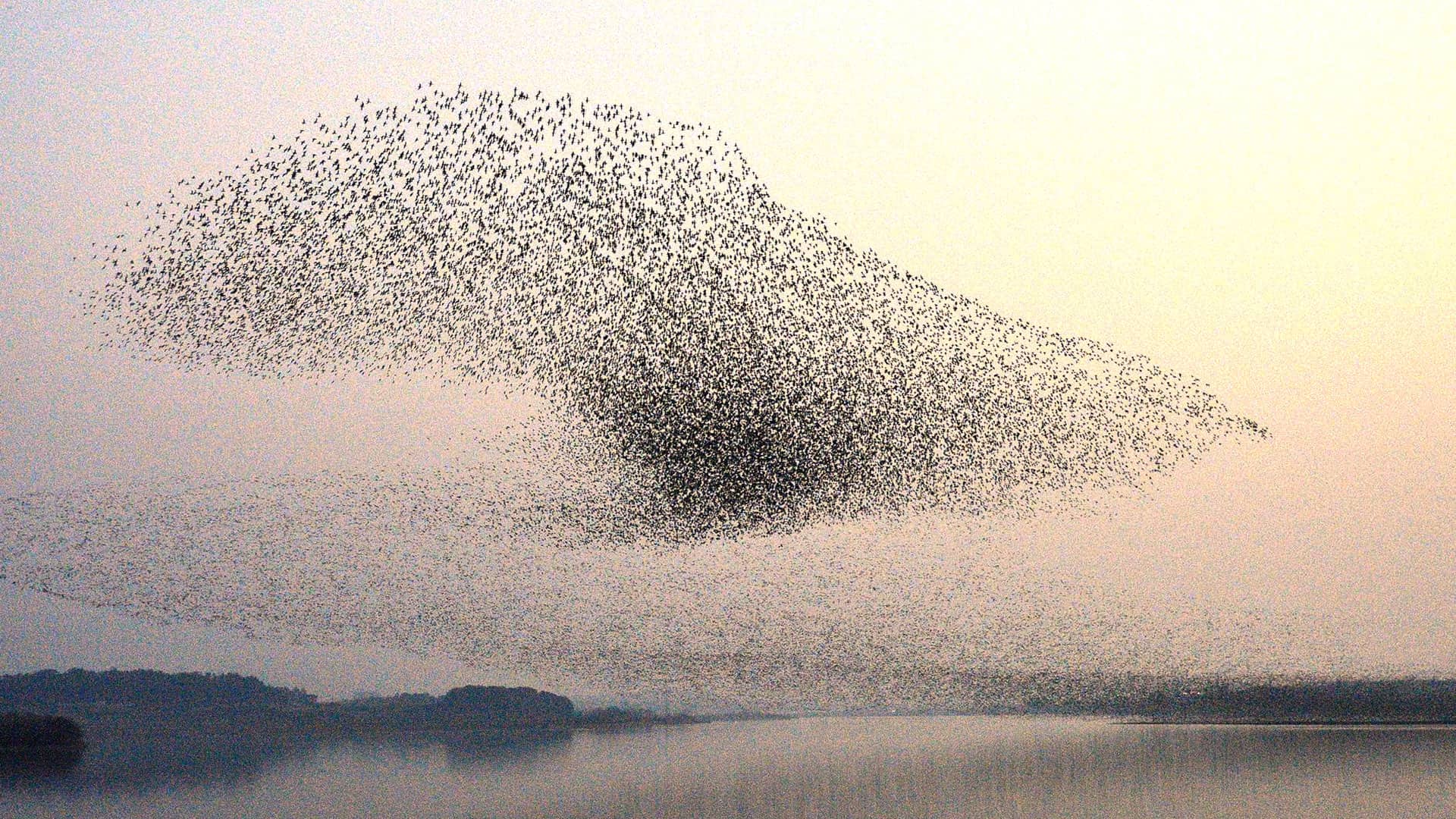 McKinsey on Agentic AI: Six Lessons That Shape ReplyFabric